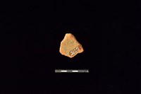 陶片藏品圖，第2張